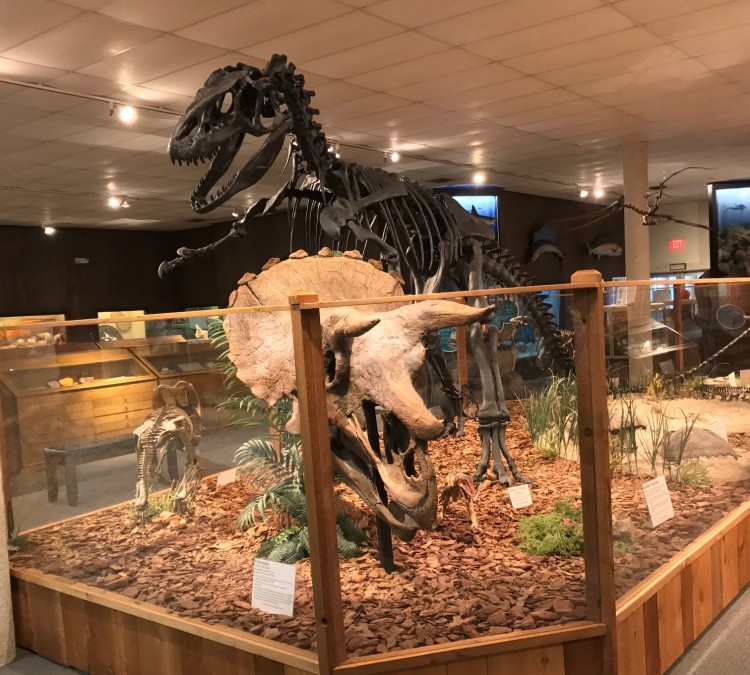Brazosport Museum of Natural Science (Clute,&nbspTX)